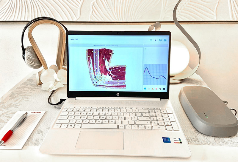 Wellanalyse am Laptop